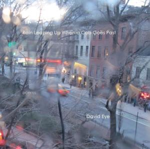 Eye_Rain Leaping Up_web cover