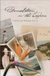 demolition-in-the-tropics_web2