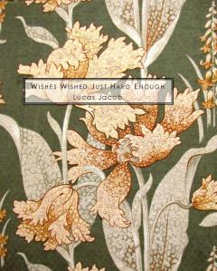 Lucas Jacob_Wishes Wished_web